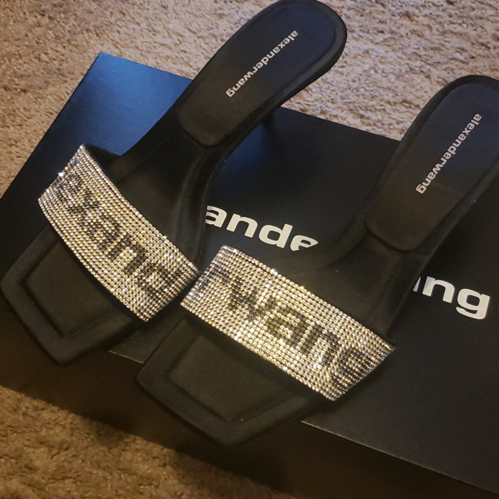 Alexander wang slides